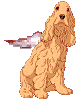 27adog64.gif